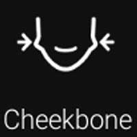 Cheekbone Filter - YouCam Perfect