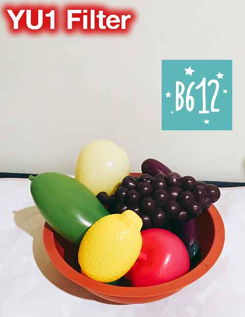 B612 YU1 Food Filter