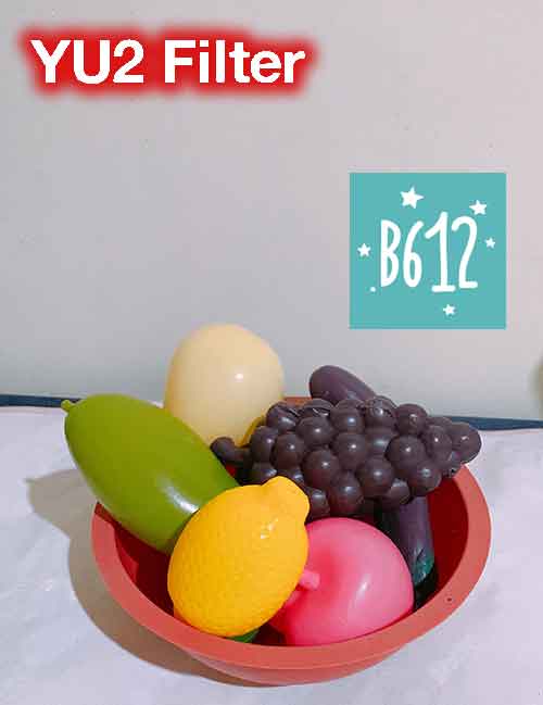 B612 YU2 Food Filter