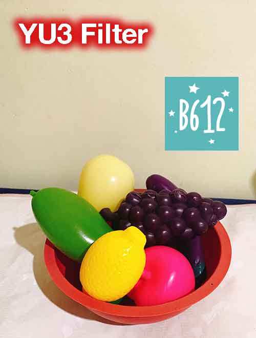 B612 YU3 Food Filter