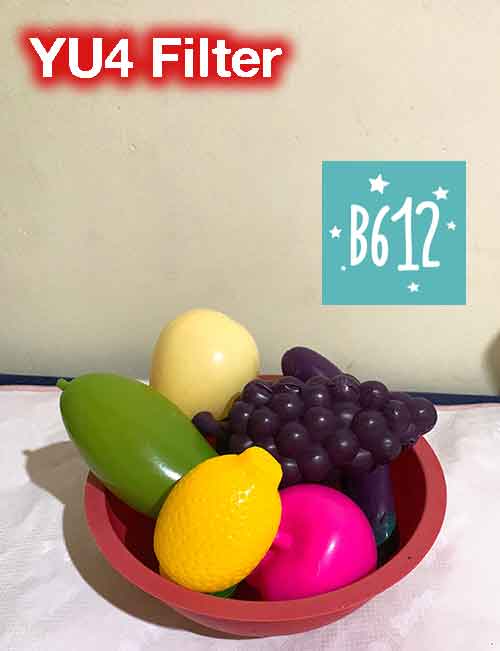 B612 YU4 Food Filter